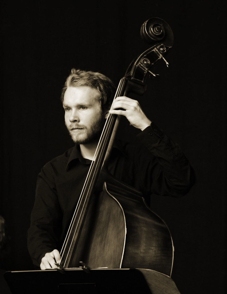 Double Bass player Jazz Festival Enschede Roel Driever Flickr