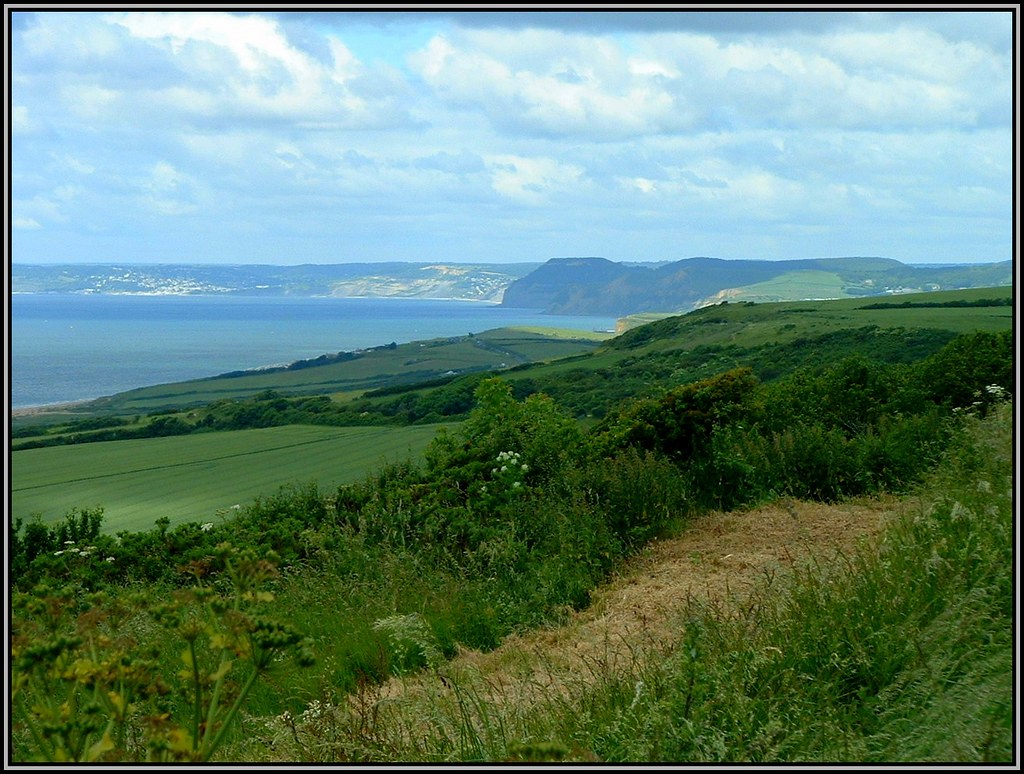 Lyme Bay Looking down onto the sweep of Lyme Bay from the … Flickr