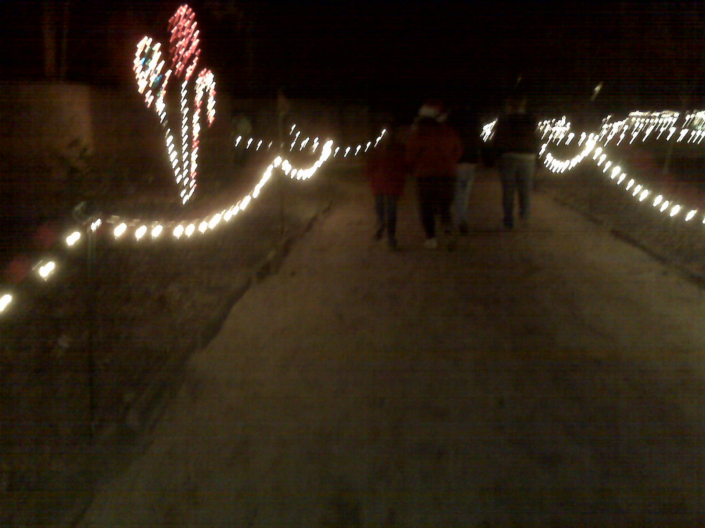 Hopeland Gardens Christmas Lights Hopeland Gardens 2007 Christmas Lights Stephen Sullivan Sr Flickr