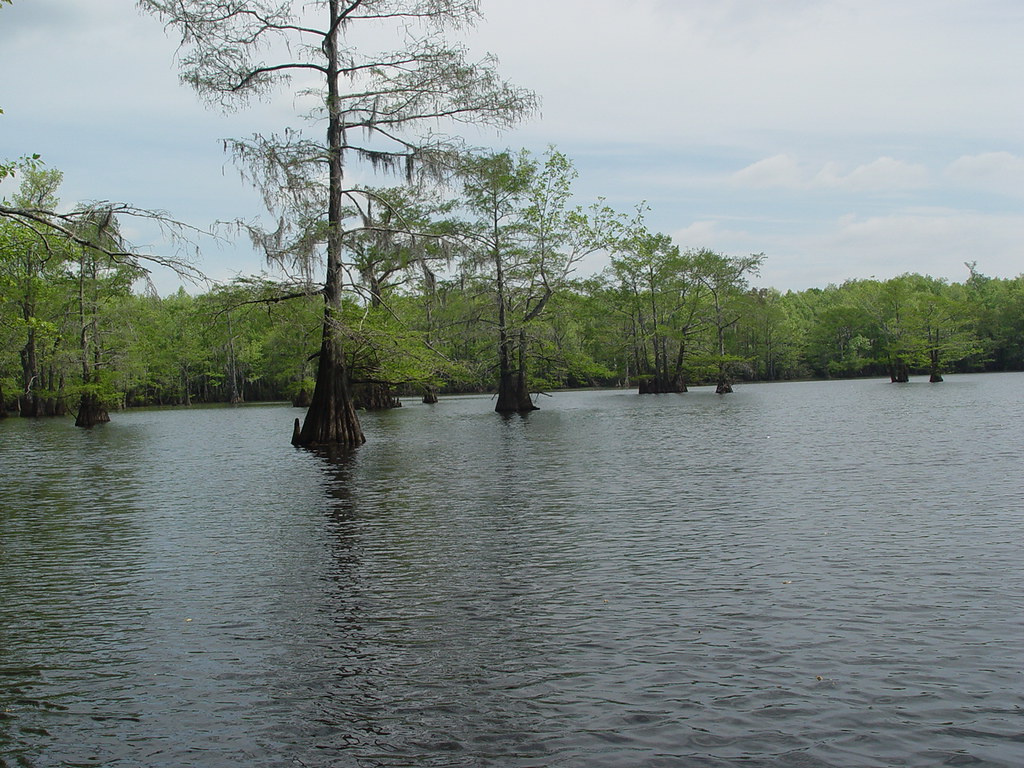 Spring2005 098 Cocodrie Lake cclrt Flickr