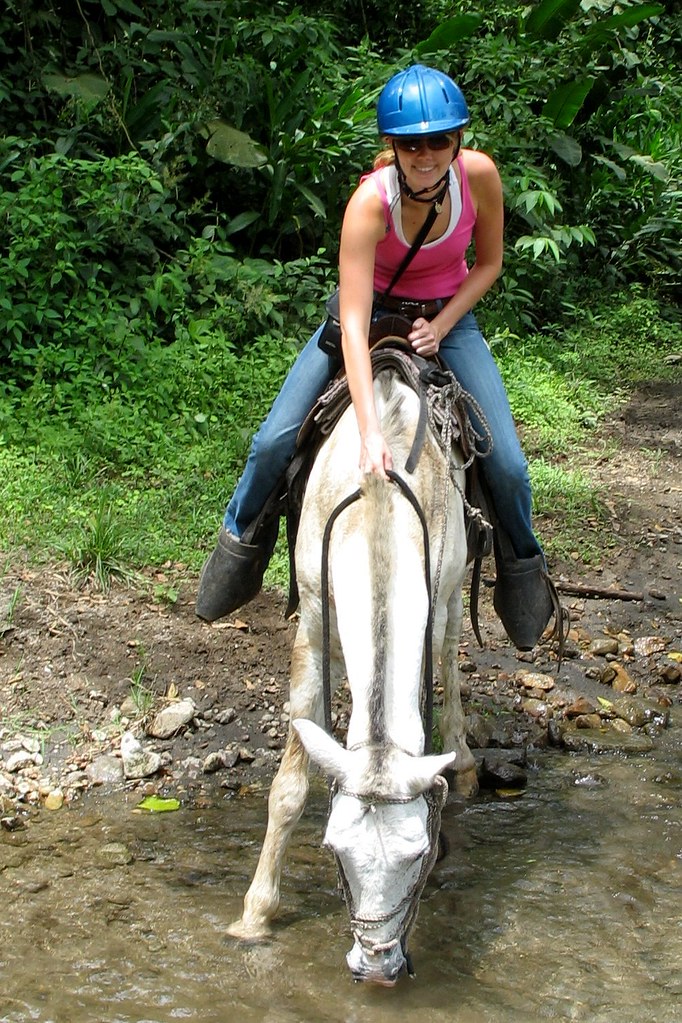 Take the Horse to the Water and Make Him Drink willowD Flickr