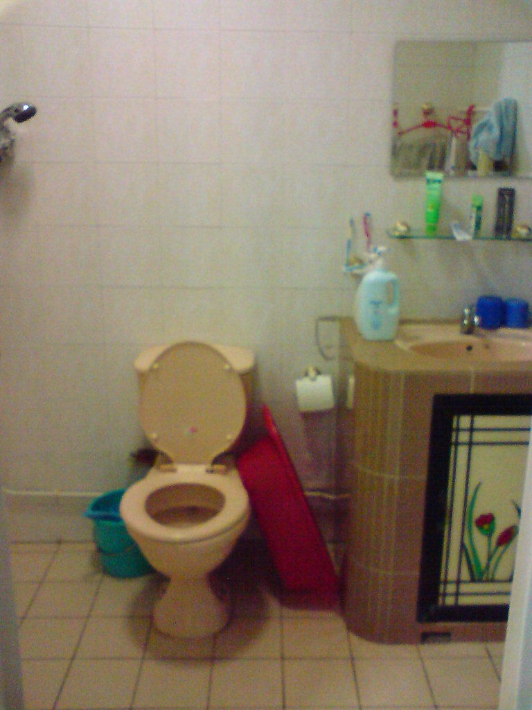 Master Bedroom toilet ahtheo Flickr