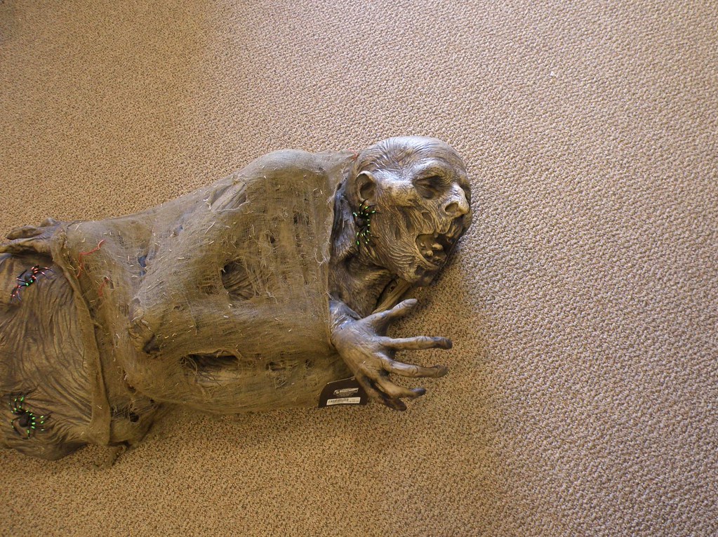 Gone but not Spirit Halloween Store, Fairfield … Flickr