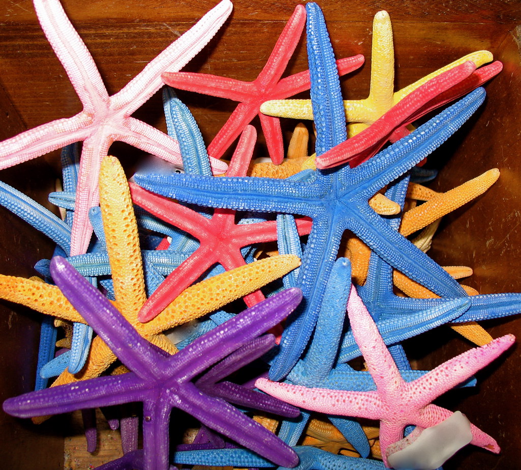 Dyed Starfish A bin of dyed starfish in a shell shop in Lo… Flickr