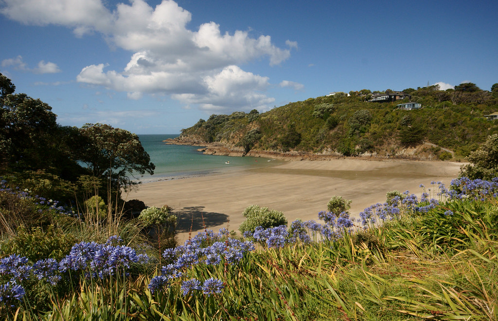 Palm beach Waiheke island Just off the coast from Auckla… Flickr