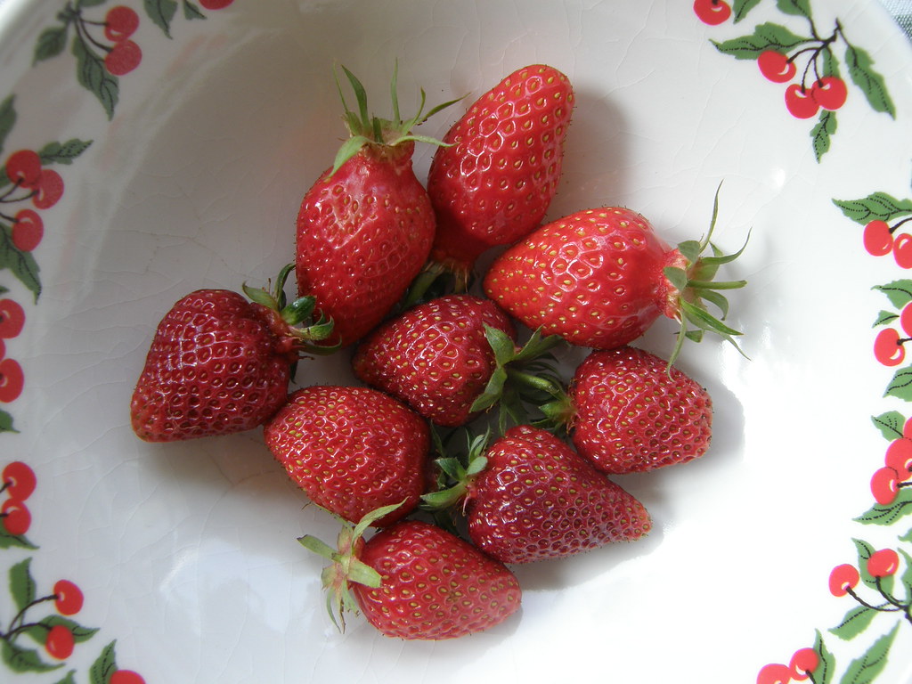 Garden, flowers, fruit, vegetables Flickr