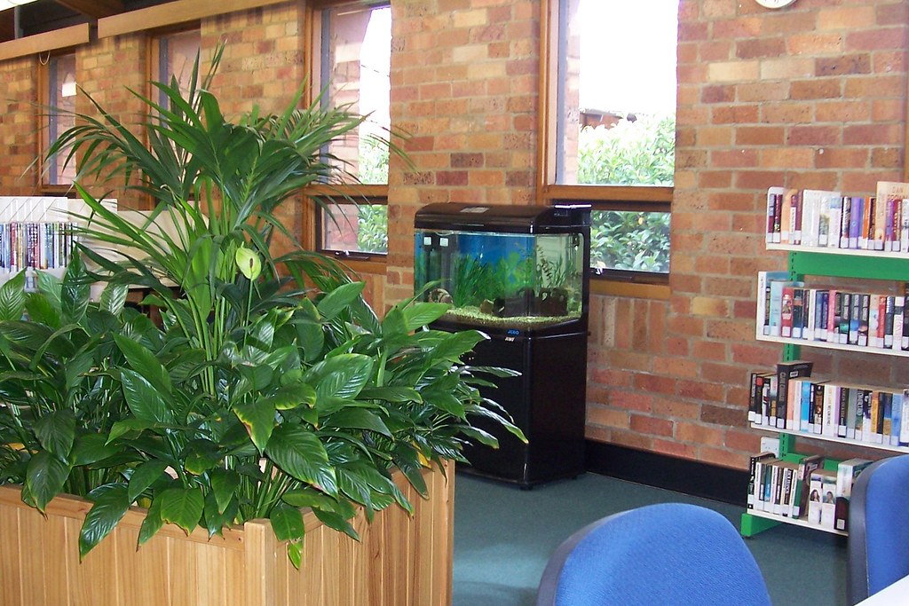 Kurri Kurri Campus Library Hunter Institute ksqvideo Flickr