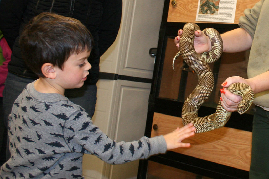 touching a snake woodleywonderworks Flickr