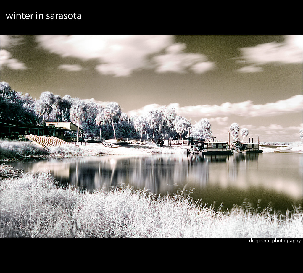 Winter in Sarasota On Explore December 15,2007 An INFRARED… Flickr
