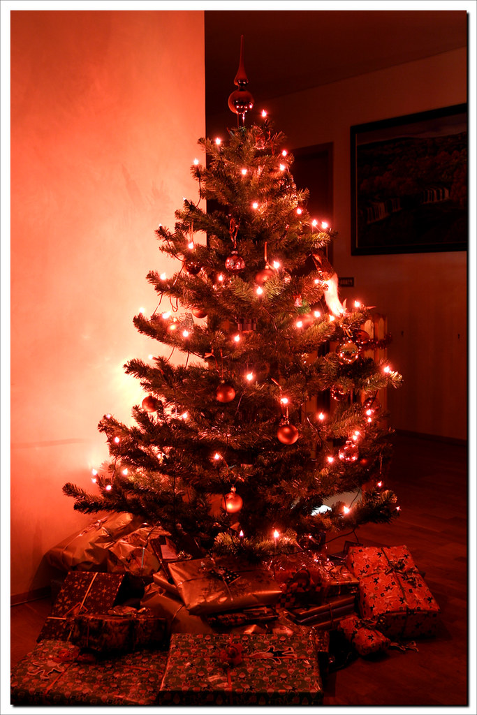 Christmas tree My christmas tree this year Nói Flickr