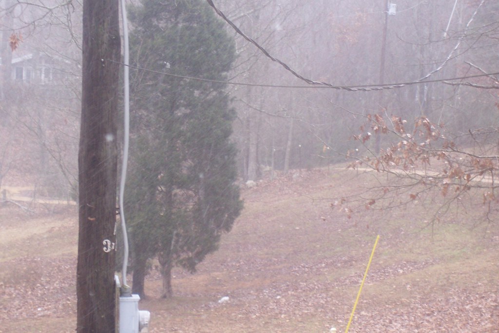 snow in Springville It is snowing in Springville! And it i… Flickr