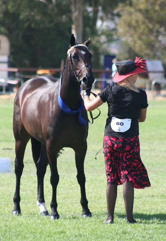 20080314_1377 Royal Melbourne Horse Show Blue ribbon horse… Flickr