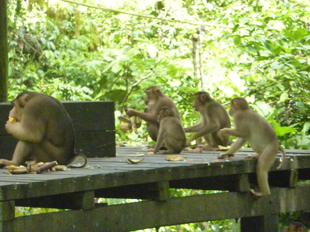 1026 Kate Freeman Flickr