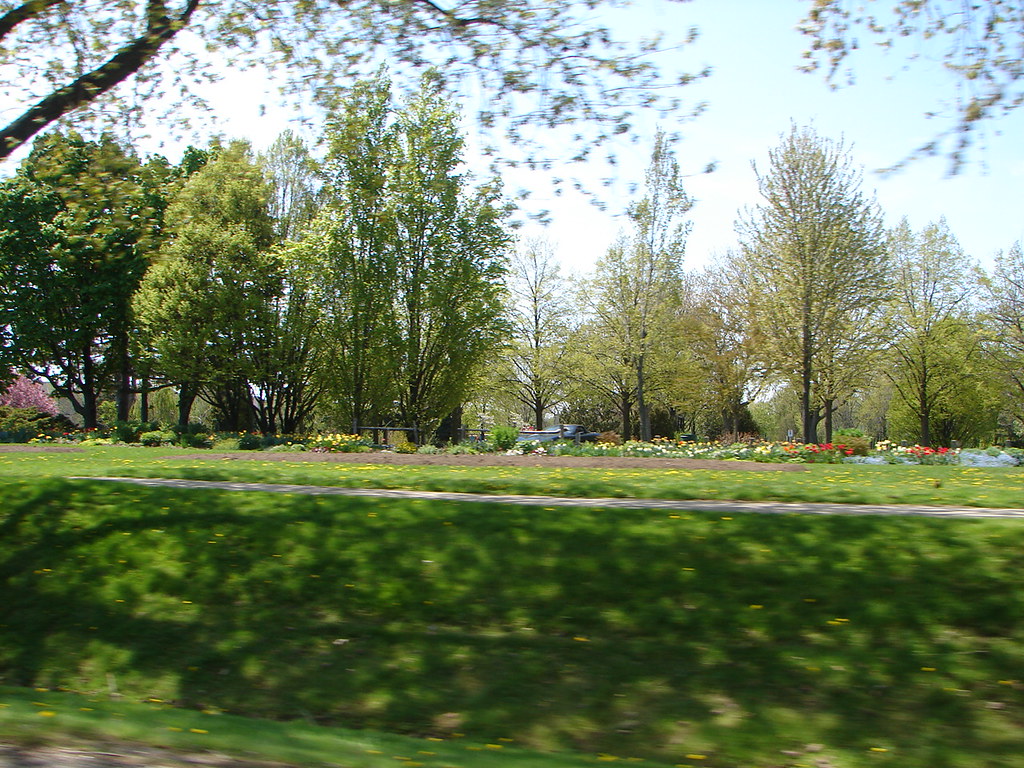 Shell Park This park sits out front of the property owned … Flickr
