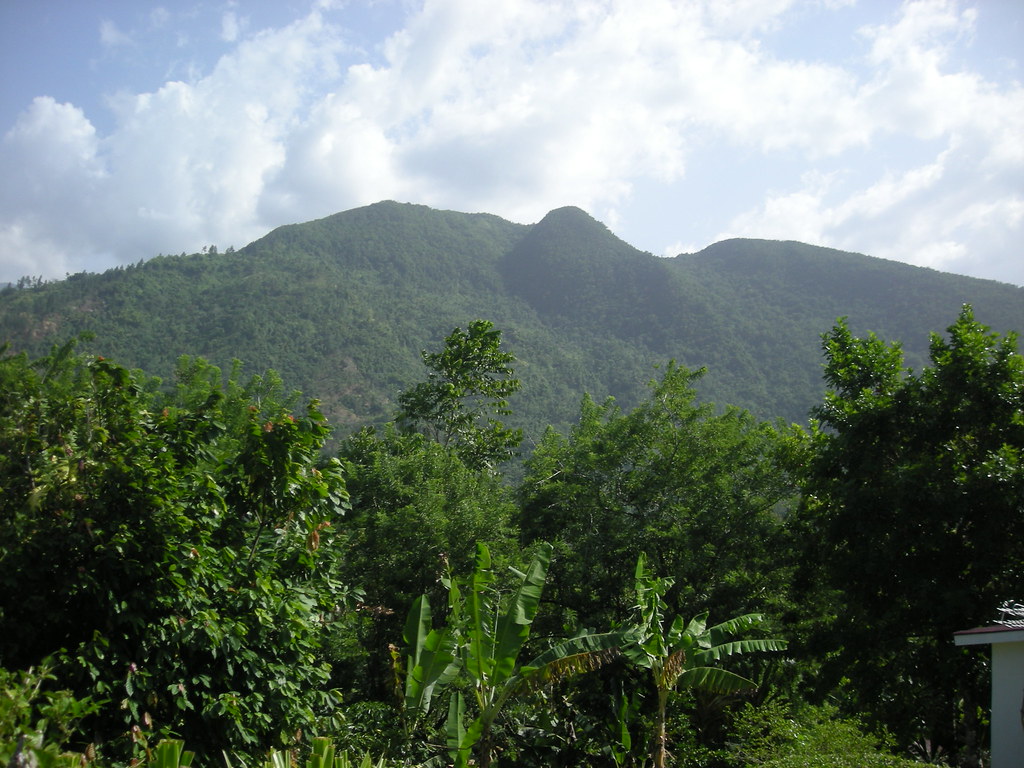 Blue Mt Jamaica Taken on Bybrook road Portland Flickr