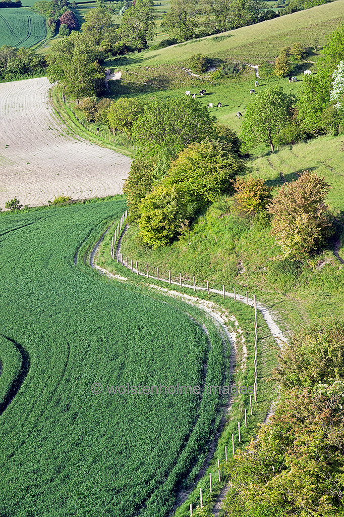 Chalk and cheese Downland and arable at Heddington, Wiltsh… Flickr