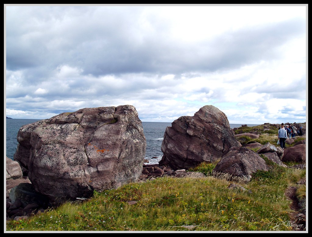 Newfoundland East Coast trail Petty Harbour to Motion He… Flickr