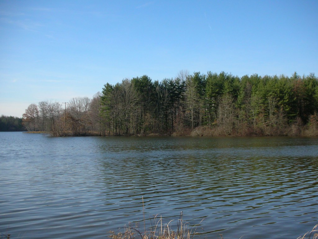 Picture 011 Woods near Deer Creek Reservoir Jayson Shenk Flickr