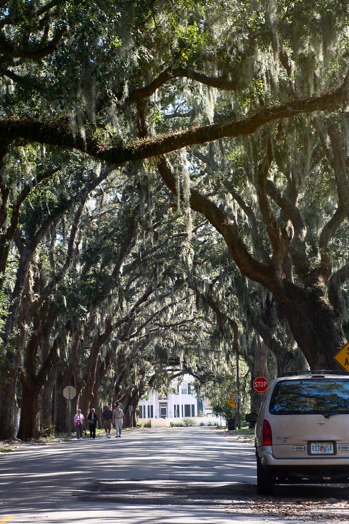 Magnolia Street St. Augustine Magnolia street is renowne… Flickr