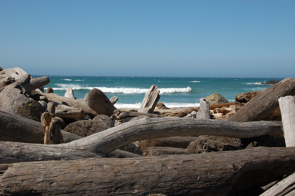 Driftwood Beach at the end of Spring Trail. Andrew Molera … Flickr
