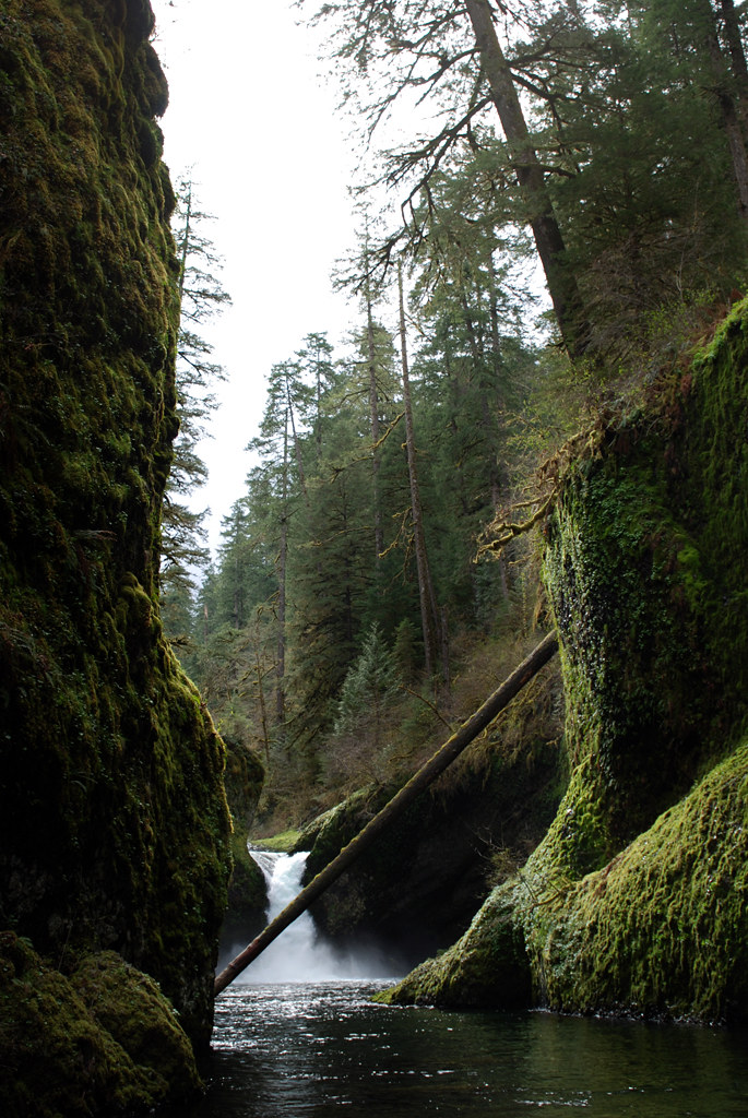 punchbowl punch bowl falls, Eagle Creek Trail, OR icebreakerlambs