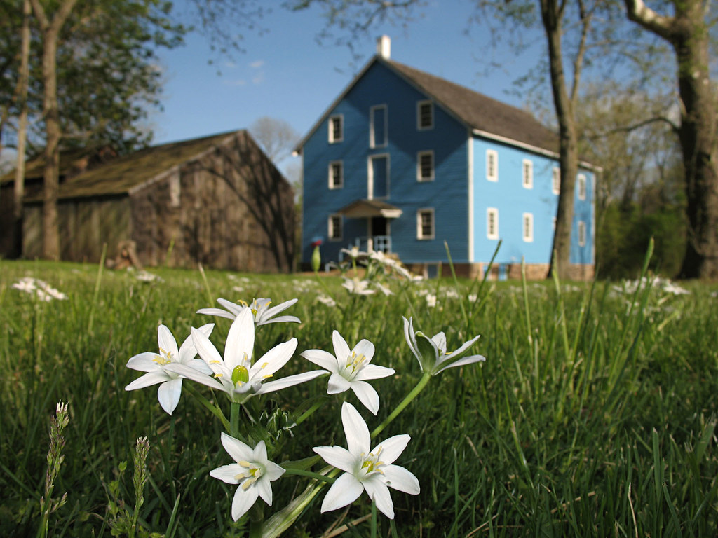 Flower Mill Experimenting with DOF at Walnford. magarell Flickr