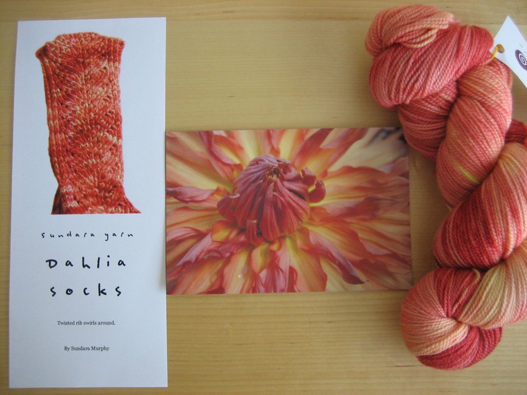 Dahlia yarn and pattern Petals Collection, Sundara Yarn. Flickr