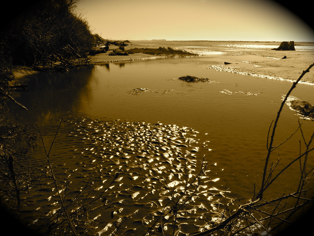 Mad River Sepia Enjoying the beautiful weather and views a… Flickr