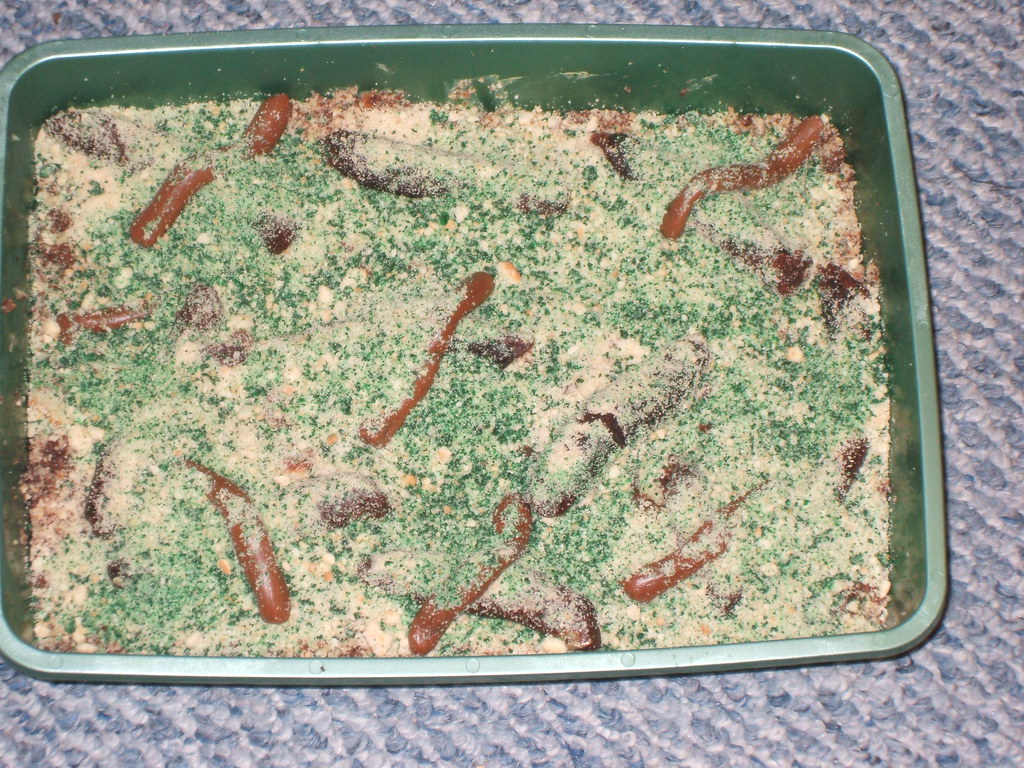 halloween 001 Cat Litter Cake mistirain3 Flickr