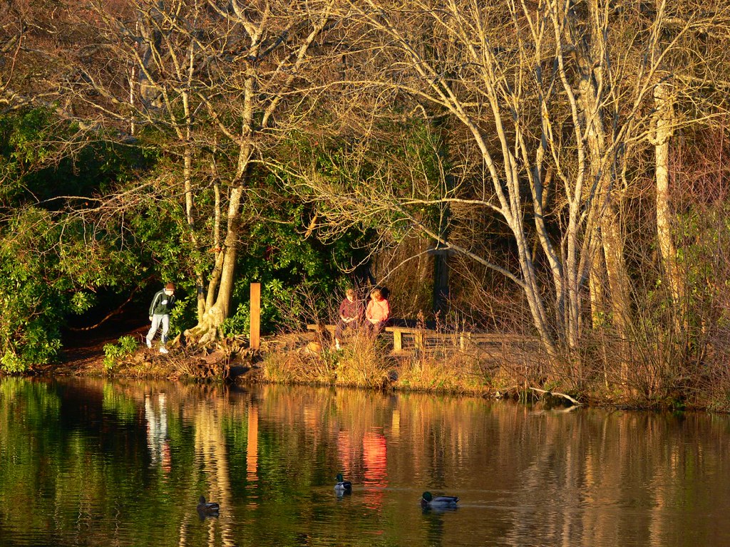 Stover Country Park Went to Stover Country Park later than… Flickr