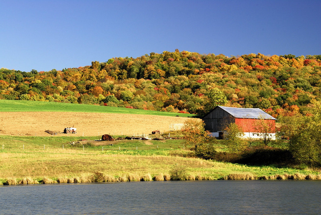 Farm Near Donegal Farm in autumn adjacent to Lake Donegal