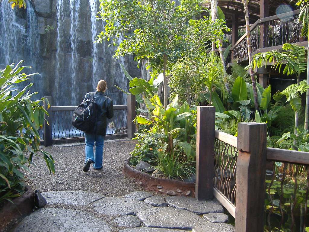 Fake Jungle with real animals in it Flickr