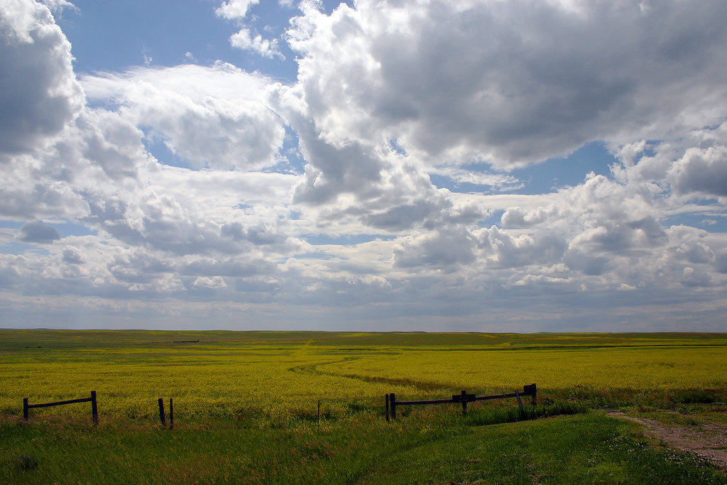 South Dakota Prairie 07 Near I90 in the eastern half of … Flickr