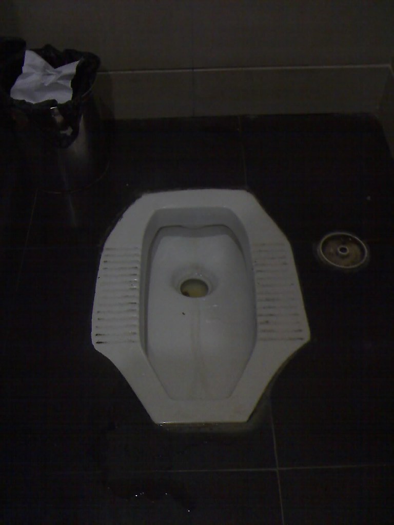 120607_1443 Chinese toilet. Yes, it's built into the flo… Flickr