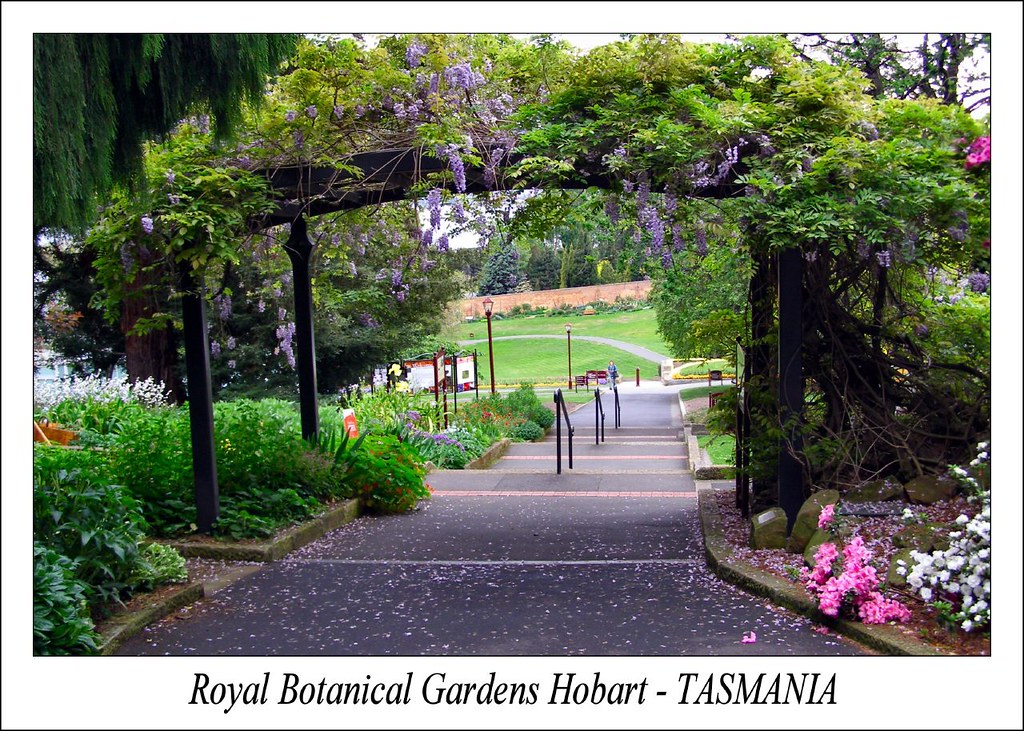 Royal Botanical Gardens Hobart TASMANIA Just past the ma… Flickr