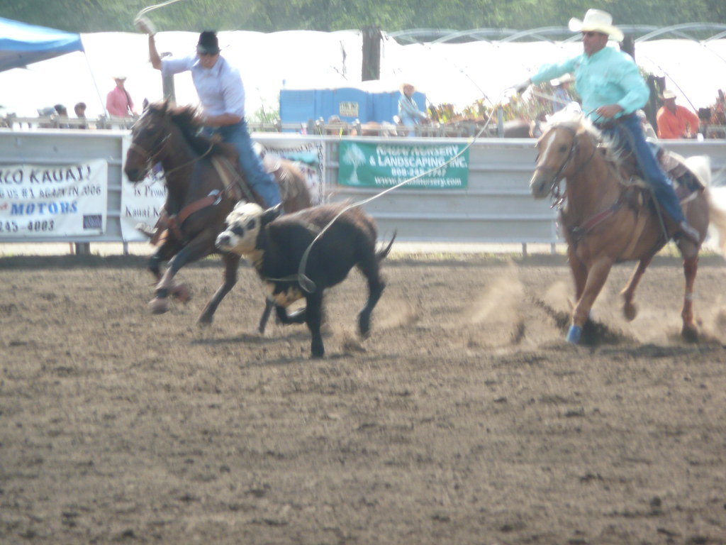 Waimea Town Celebration rodeo One cowboy tries to lasso th… Flickr