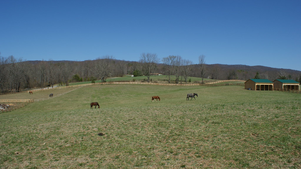 Offering small group turnouts Walnut Spring Stables Flickr