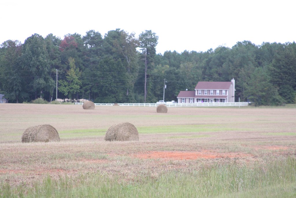 Social Circle, GA savoryexposure Flickr