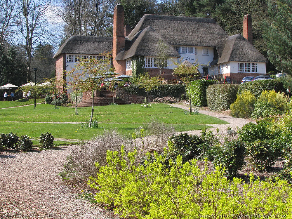 Thatched Pub's Tea Rooms The Drum Inn at cockington.. Drin… Flickr