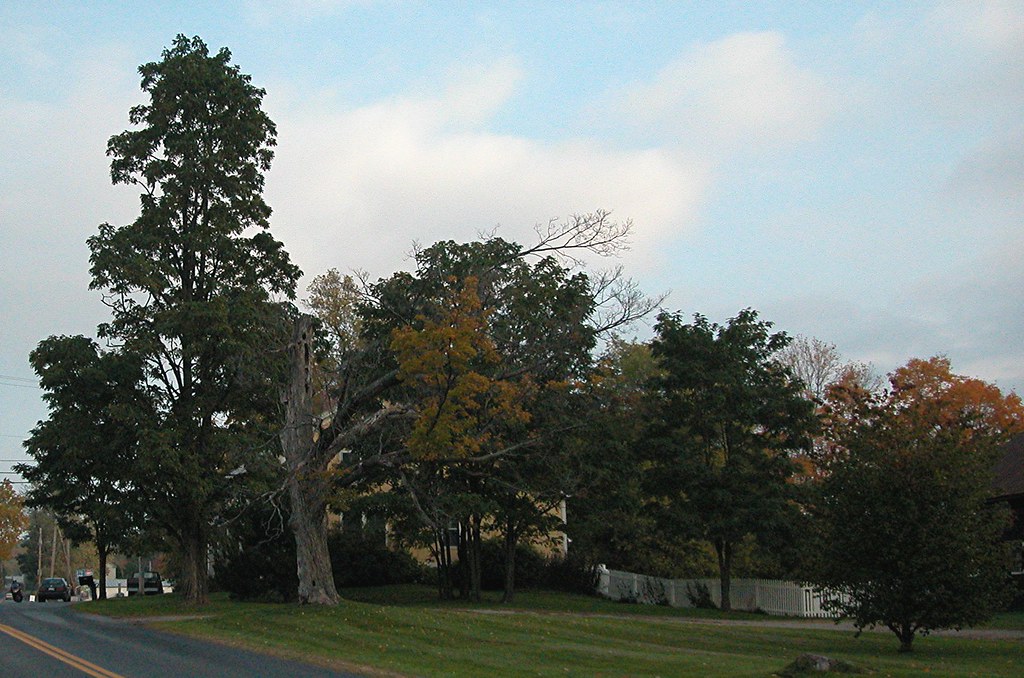 Color 0957 Monkton, VT Bob Von Bruns Flickr