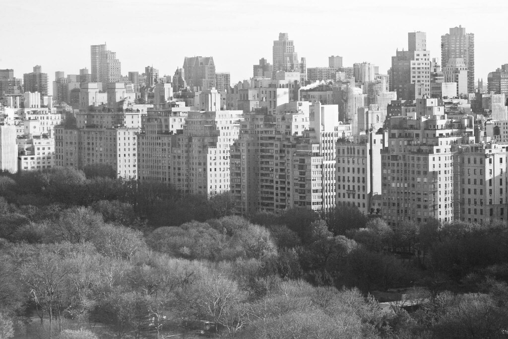 Overlooking Central Park Thomas Hawk Flickr