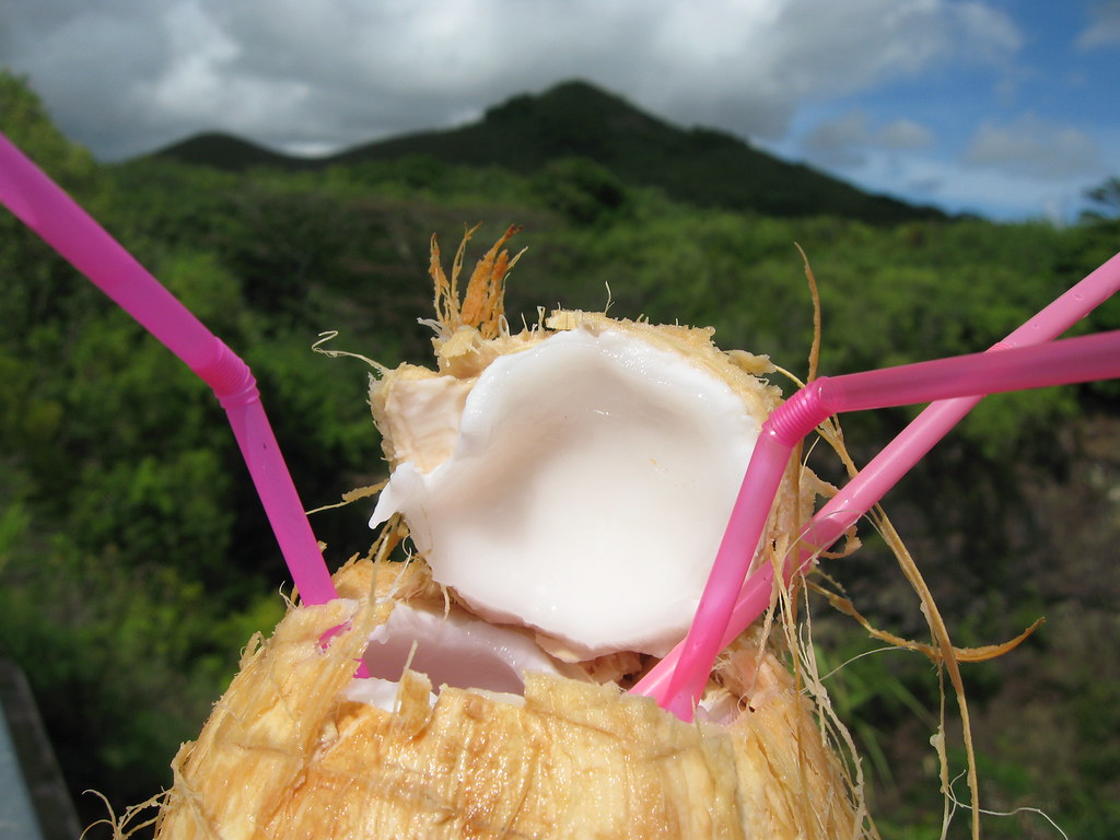 Ice Cold Coconut! Silverisdead Flickr