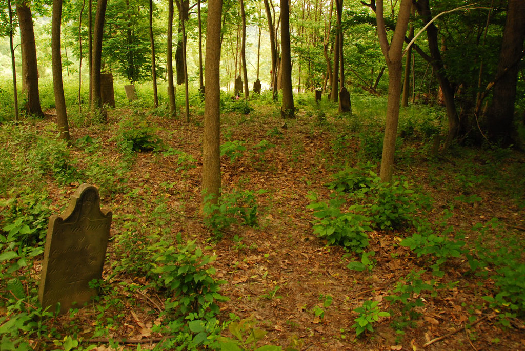 DSC_2356 Wilder Cemetery Paige Miller Flickr