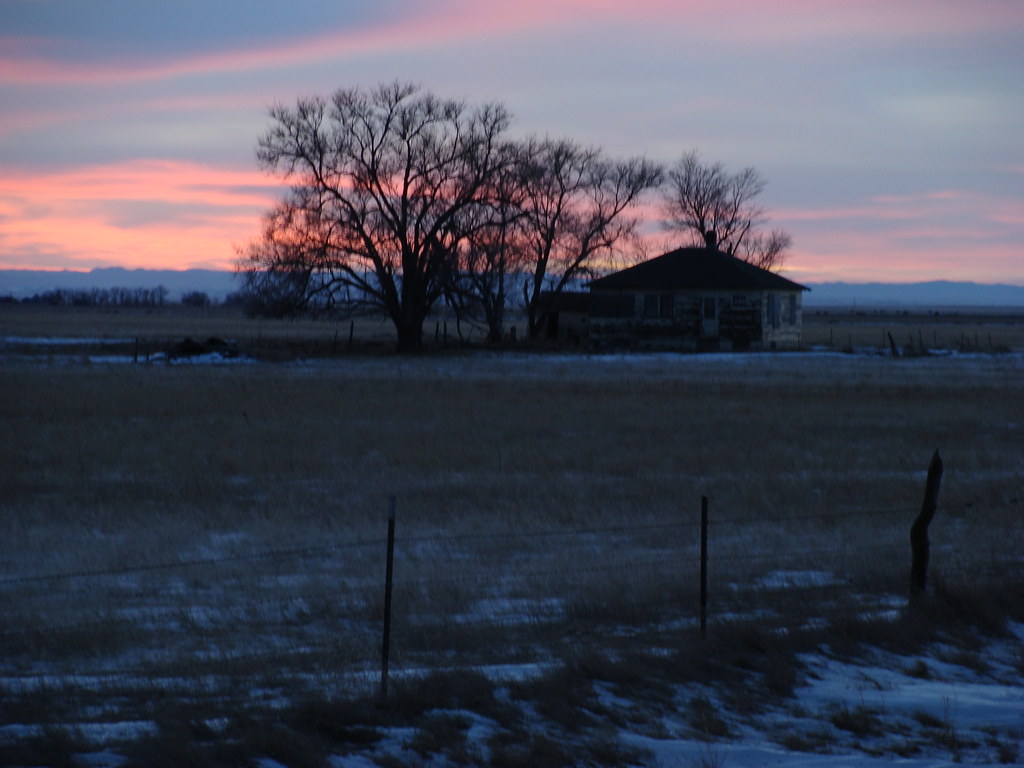 Elm Springs In Winter Matthew Trask Flickr