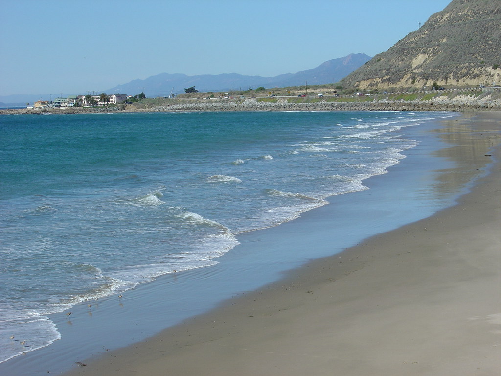 DSC08994 Mussel Shoals Ca Ian Sutton Flickr