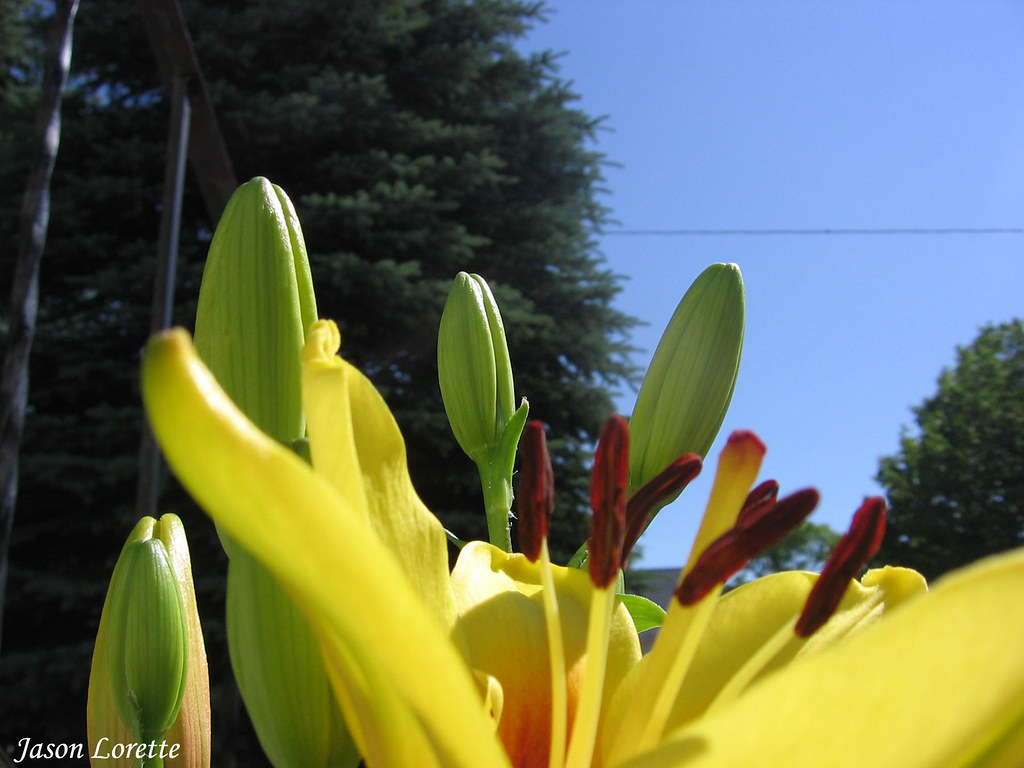 Elevation of Indian Mountain Rd, Indian Mountain, NB E1G 3B9, Canada