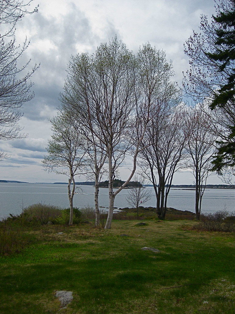 Mere Point Brunswick, Maine smilla4 Flickr