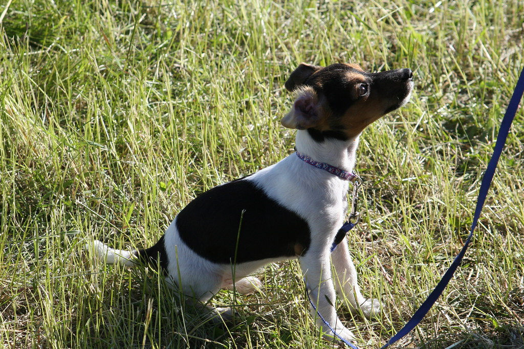 Untitled Chance Everett Flickr