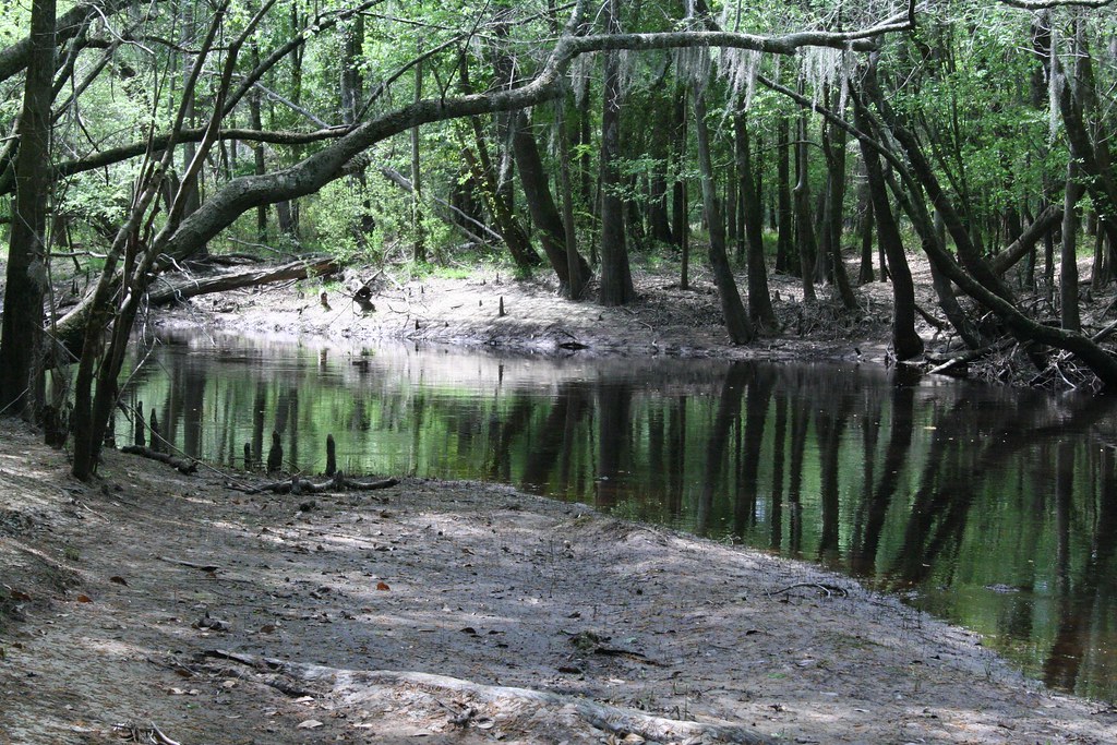Canoochee River Evans County, Anthony Zukoff Flickr