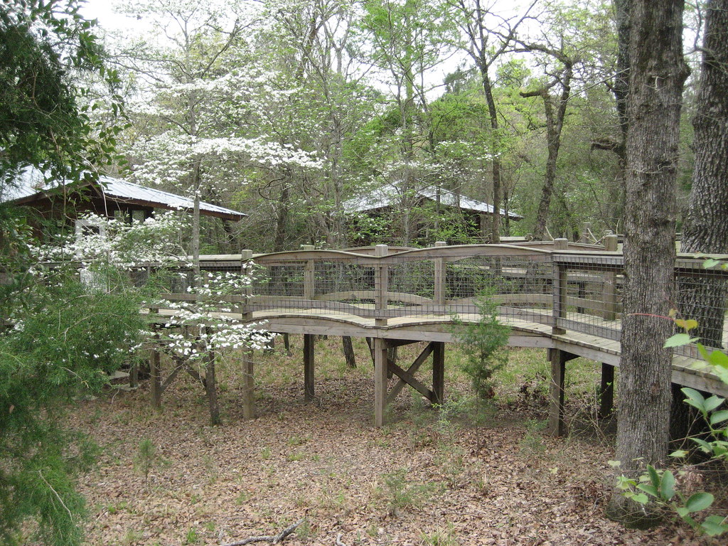 whimsical walkways at camp bette perot jessie l Flickr